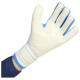 Adidas Γάντια τερματοφύλακα Copa Pro Goalkeeper Gloves